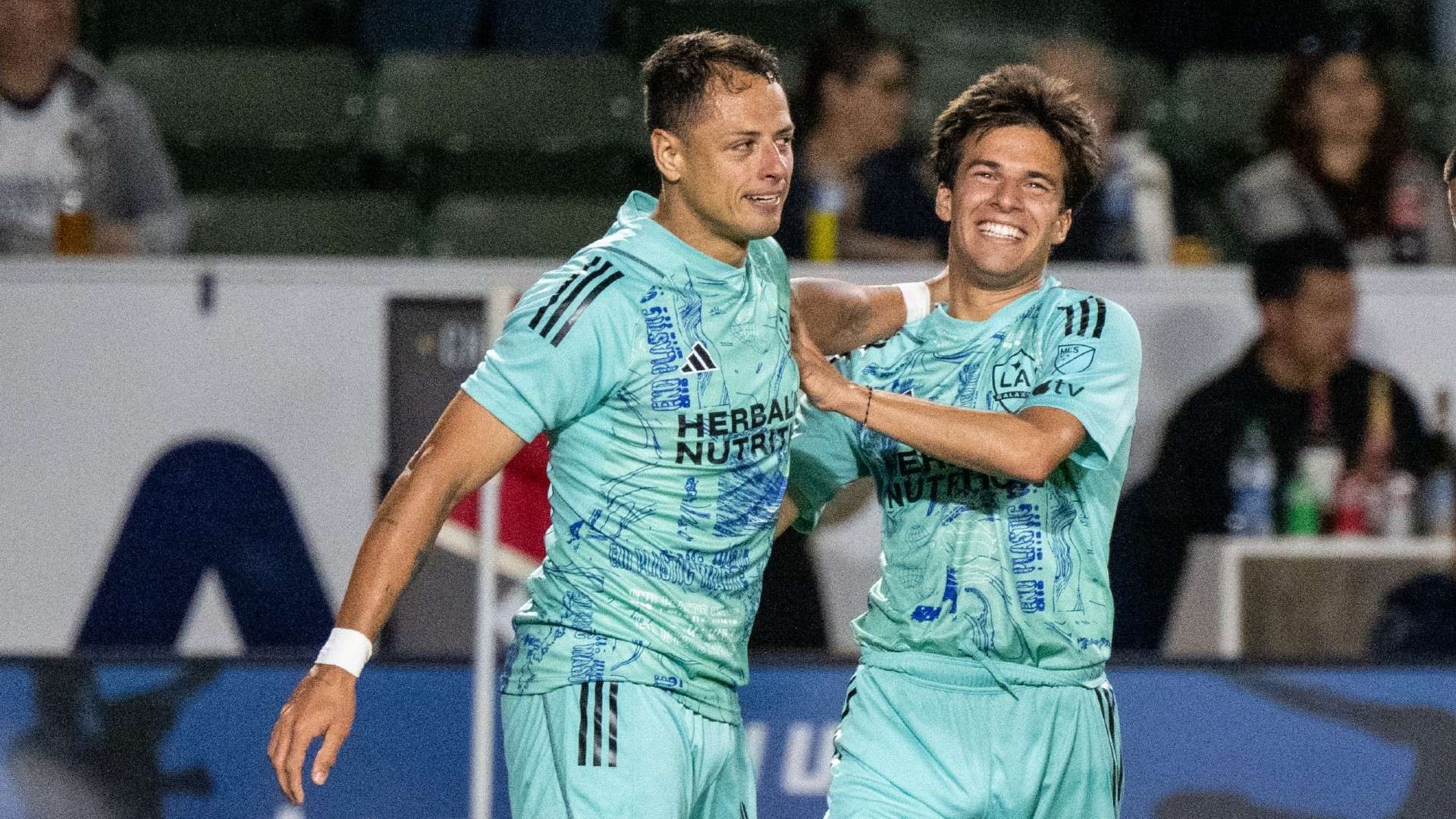 分析能为各 分析能为各